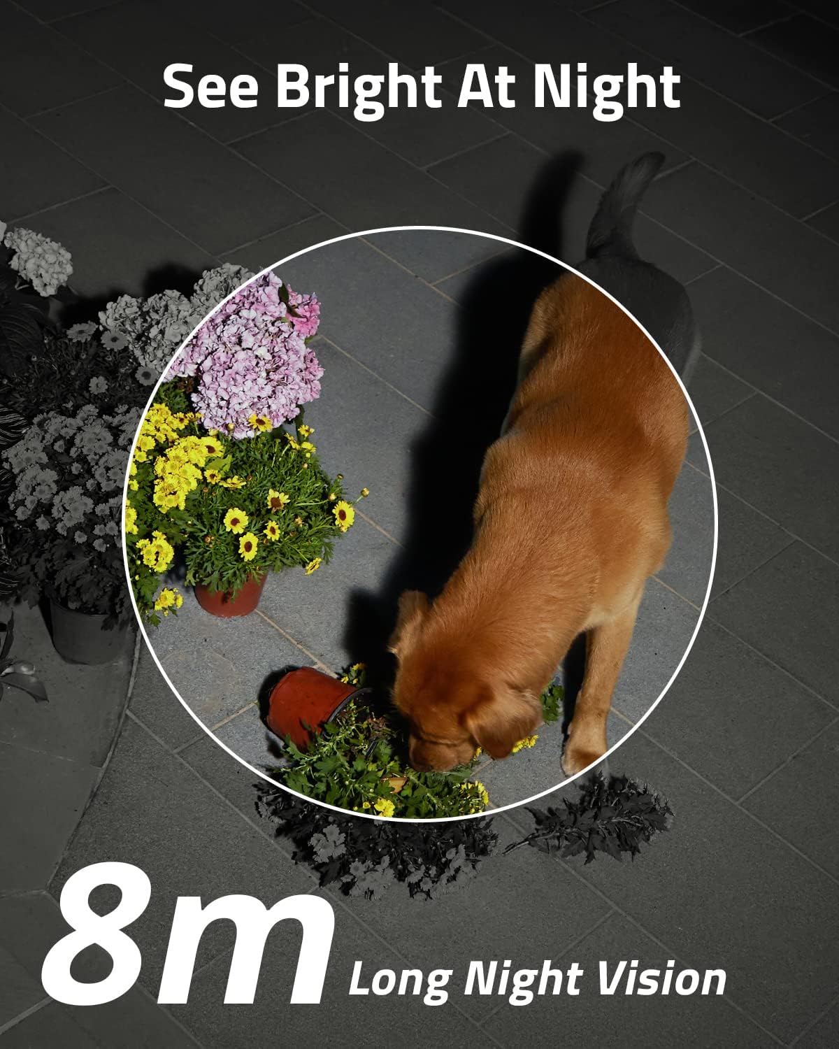 كاميرا مراقبة خارجية انكر يوفي SoloCam S40 تعمل بالطاقة الشمسية | Anker eufy SoloCam S40 Solar Power Security Camera 2K Outdoor