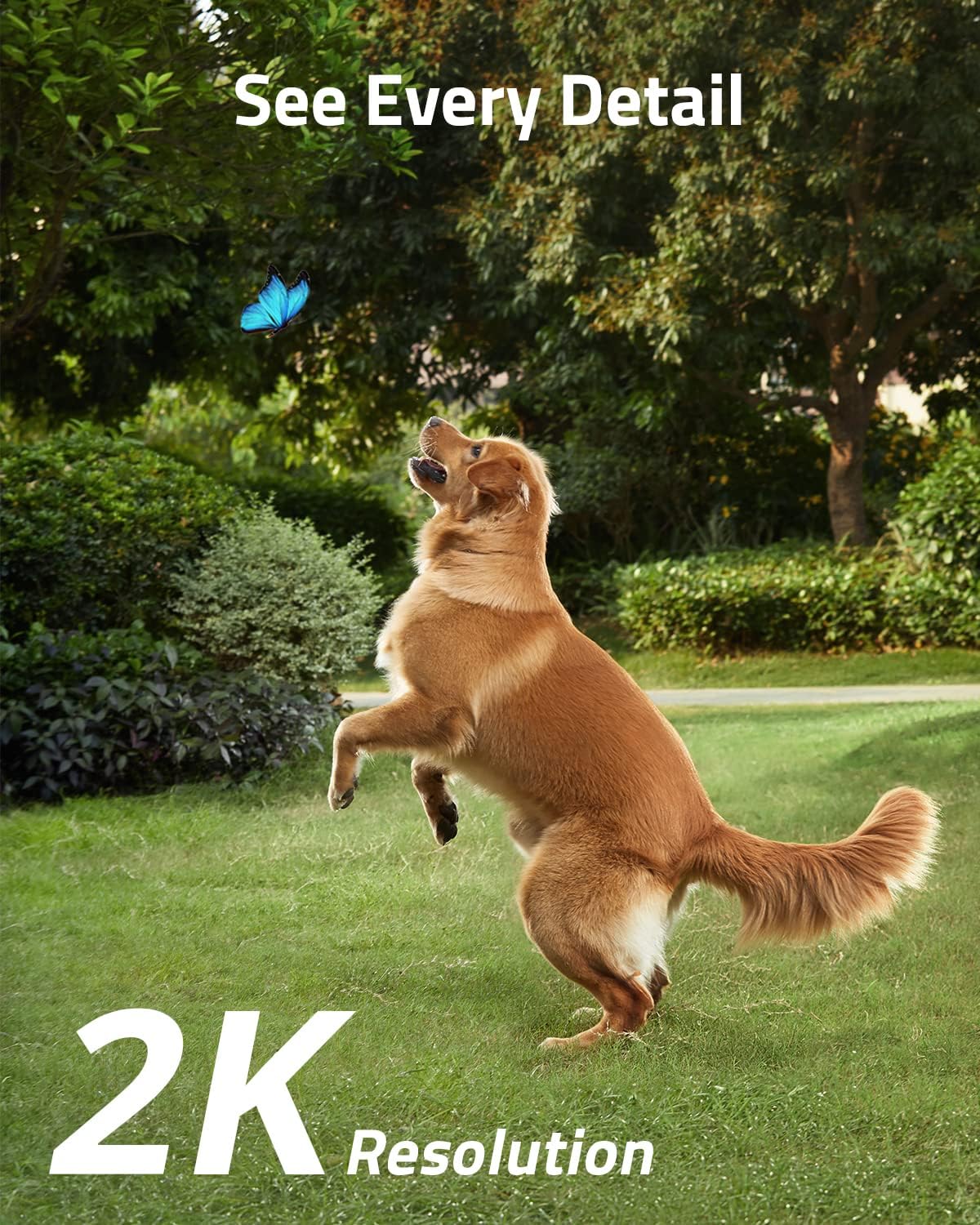 كاميرا Cam Spotlight Eufy Anker تعمل بالطاقة الشمسية