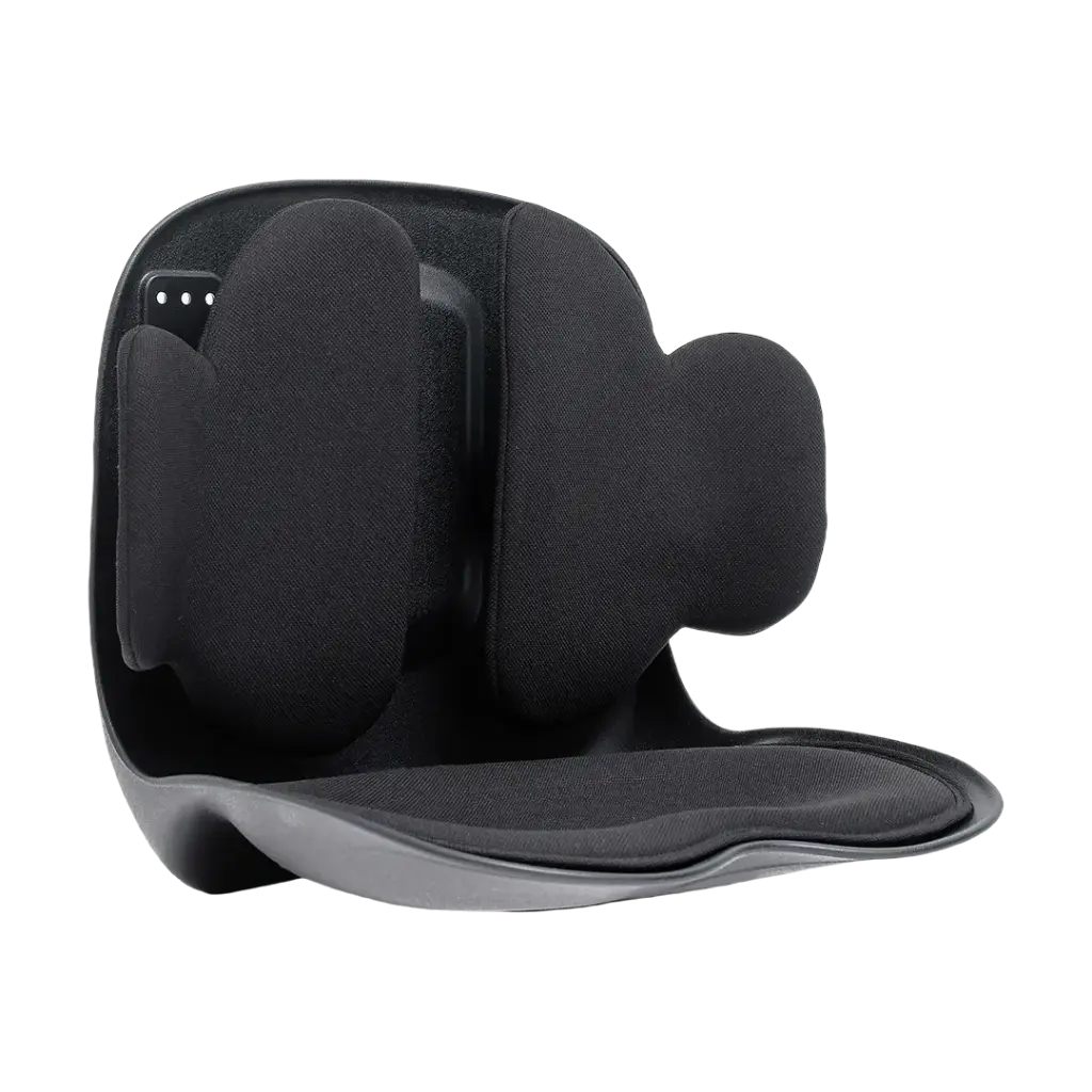 دعامة الظهر القابلة للتعديل جرين لايون لومبار برو - اسود | Green Lion Lumbar Pro Adjustable Back Support - Black